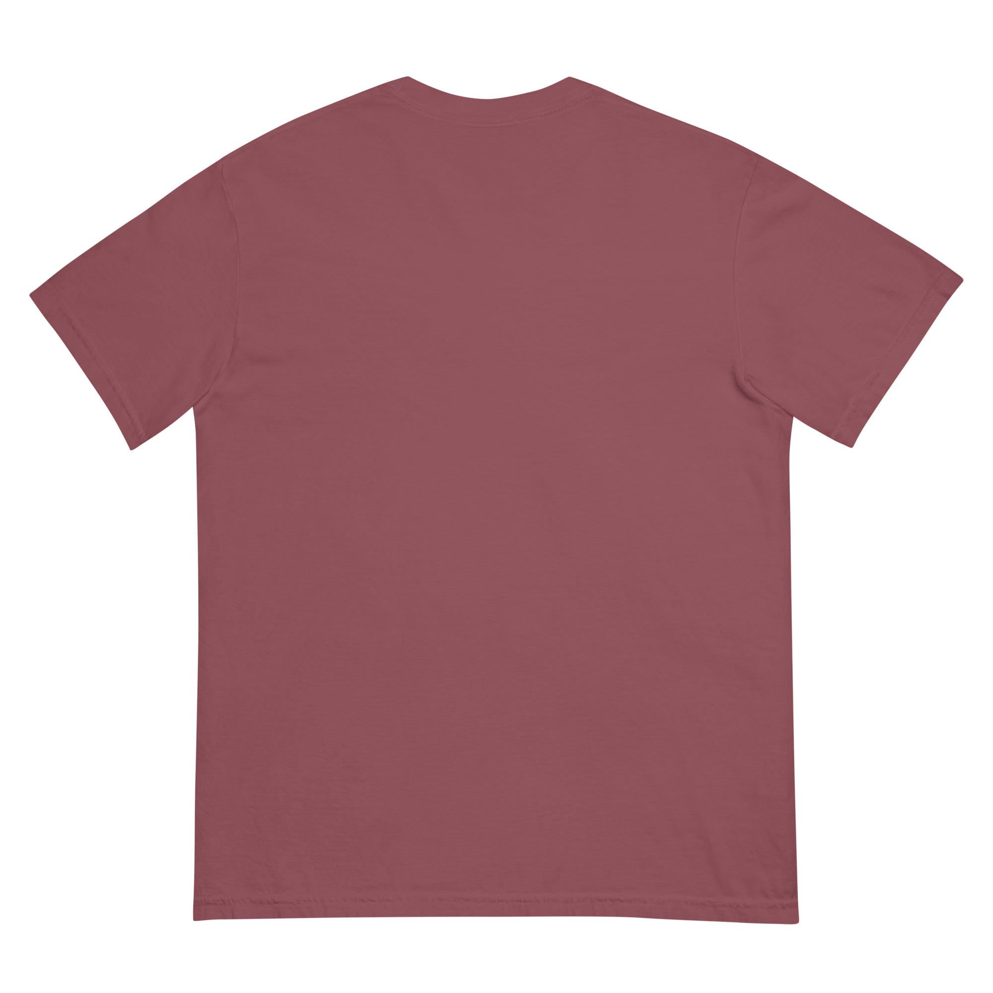 "SEIZED ASSETS (COLOR)" Unisex garment-dyed heavyweight t-shirt - Image 11
