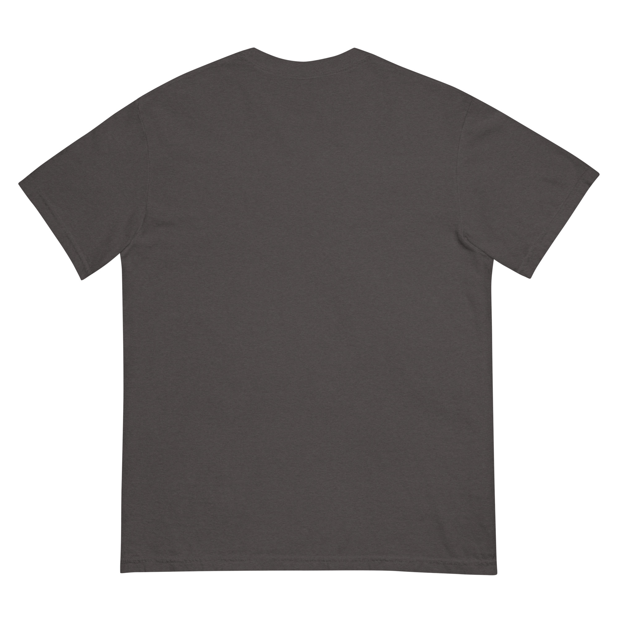 "SEIZED ASSETS (COLOR)" Unisex garment-dyed heavyweight t-shirt - Image 7