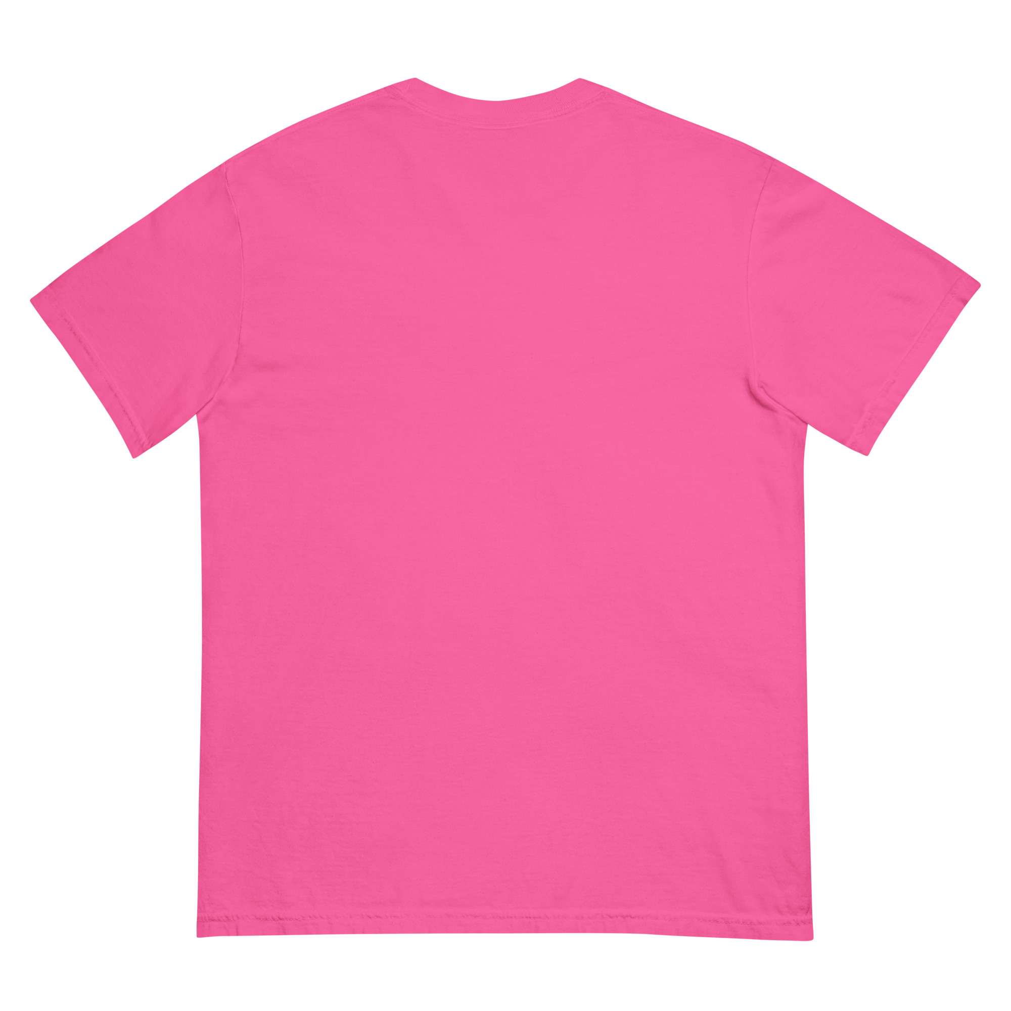 "SEIZED ASSETS (COLOR)" Unisex garment-dyed heavyweight t-shirt - Image 21