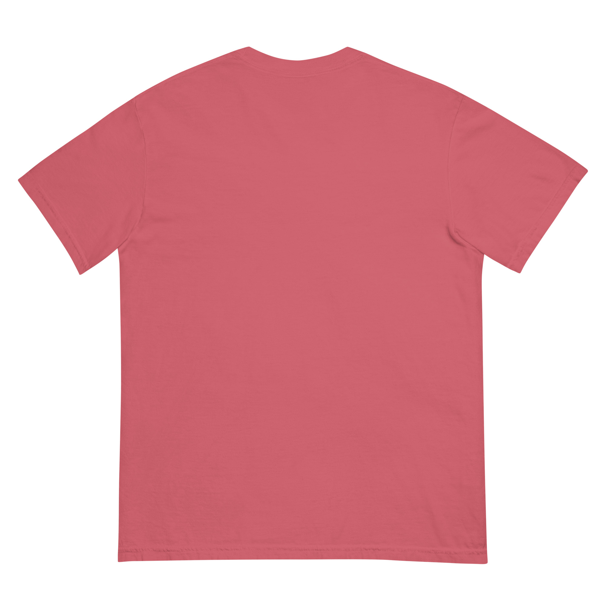 "SEIZED ASSETS (COLOR)" Unisex garment-dyed heavyweight t-shirt - Image 15