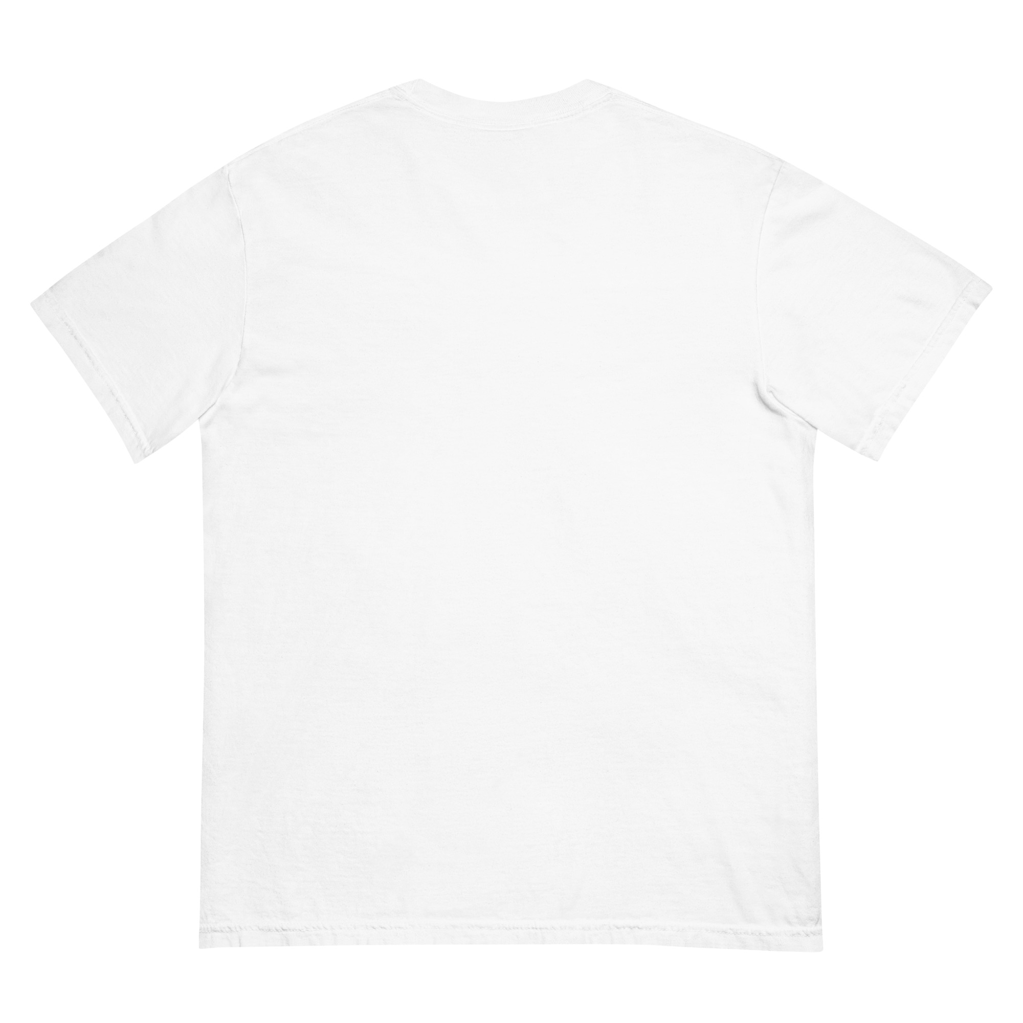 "EVERY KINGDOM HAS A COST (COLOR)" Unisex garment-dyed heavyweight t-shirt - Image 4