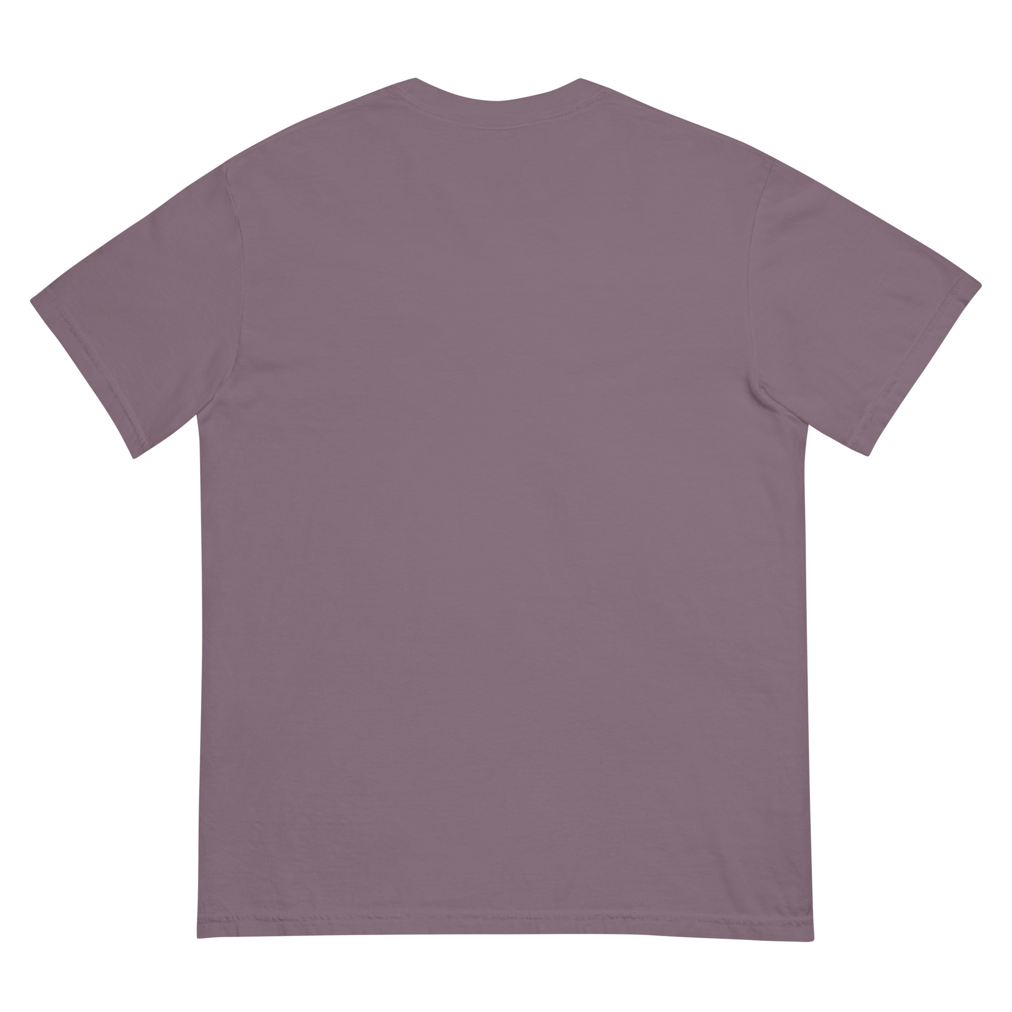 "SEIZED ASSETS (COLOR)" Unisex garment-dyed heavyweight t-shirt - Image 13