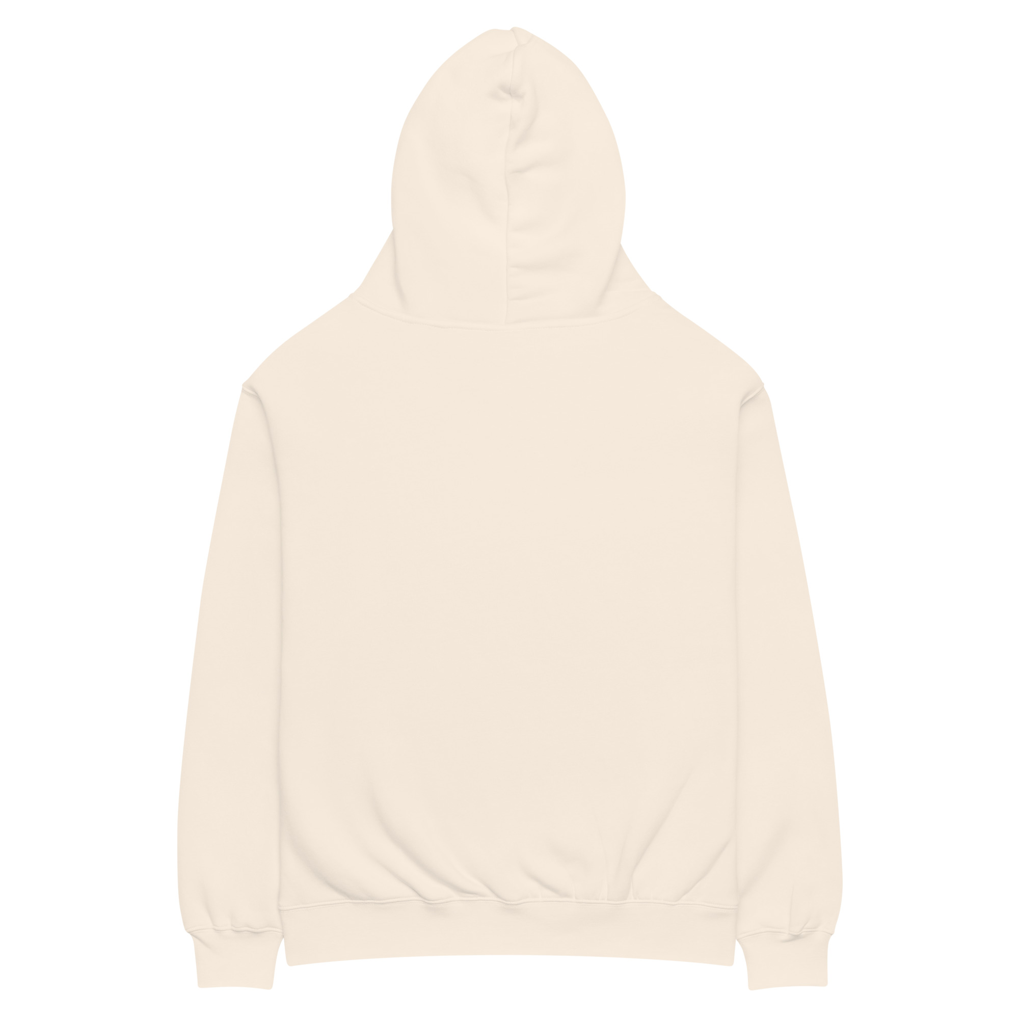 "EVERY KINGDOM HAS A COST" Unisex oversized hoodie - Image 22